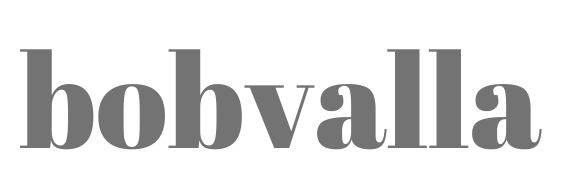 bobvalla dev logo dark